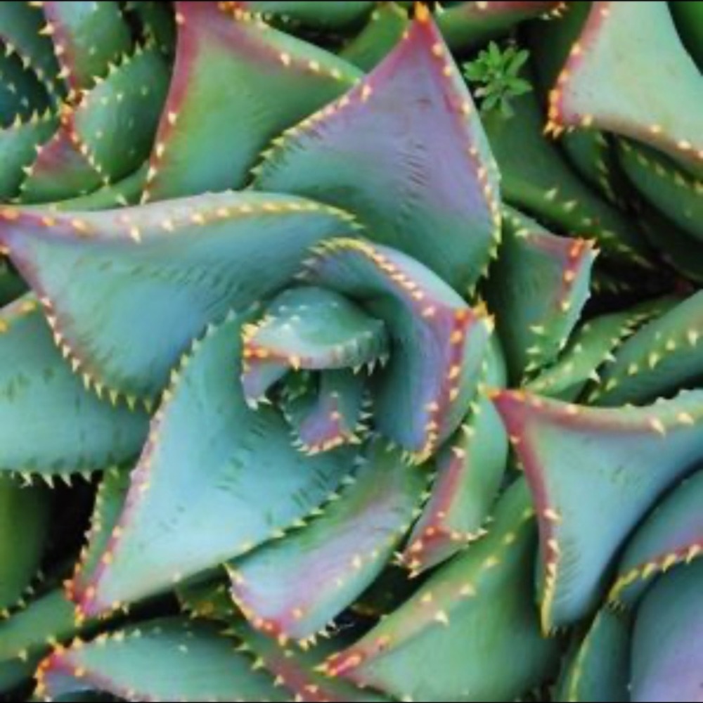 Women’s and Men’s clothing